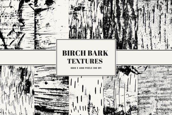 Birch Bark Textures: Elevating Digital Design with Natural Aesthetic
