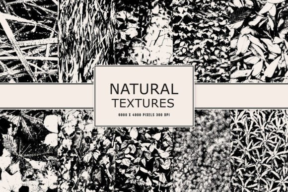 Natural Textures: Enhancing Creativity with Versatile Backgrounds