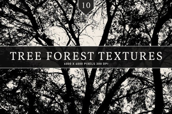 Tree Forest Textures: A Versatile Asset for Creative Projects