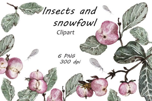 Watercolor Insects and Snowfowl Clipart: A Versatile Tool for Creative Projects