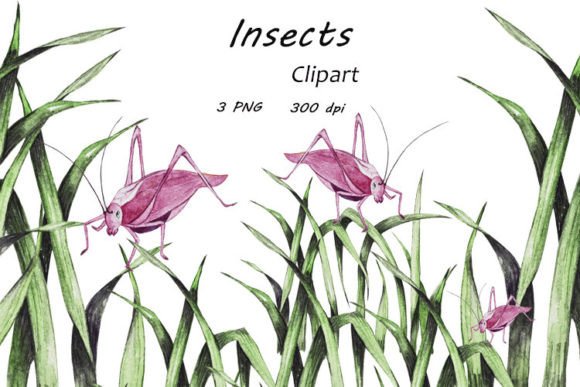 Watercolor Insects Clipart PNG